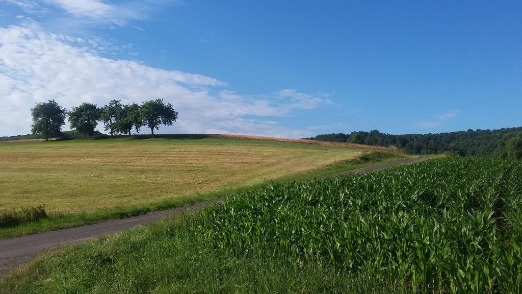 Landgasthof Zur Untermuehle Datterode Exterior photo